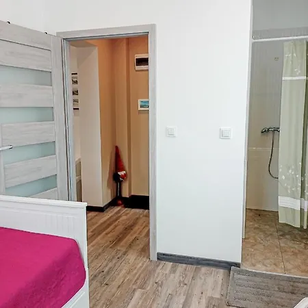 公寓 Everysky - Konstytucji 3 Maja 55 卡尔帕奇